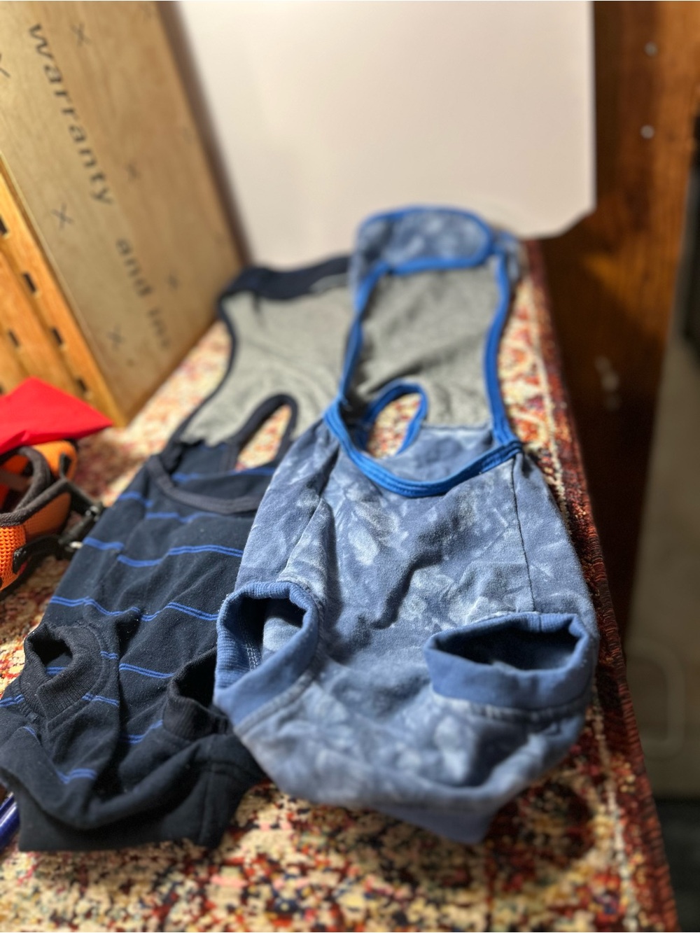 Small dog accessories - Picture 4 of 10
